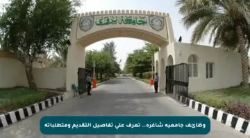 وظائف جامعية شاغرة.. تعرف على تفاصيل التقديم ومتطلباته